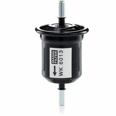 Promozione MANN-FILTER WK 6013 Filtro Carburante