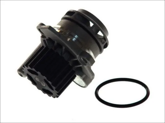 Offerta THERMOTEC D1W039TT Pompa acqua N° denti 19, con guarnizione, meccanico