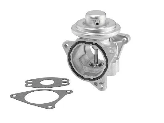 Prezzo Ridotto BorgWarner 7496D Valvola EGR pneumatico, con guarnizioni