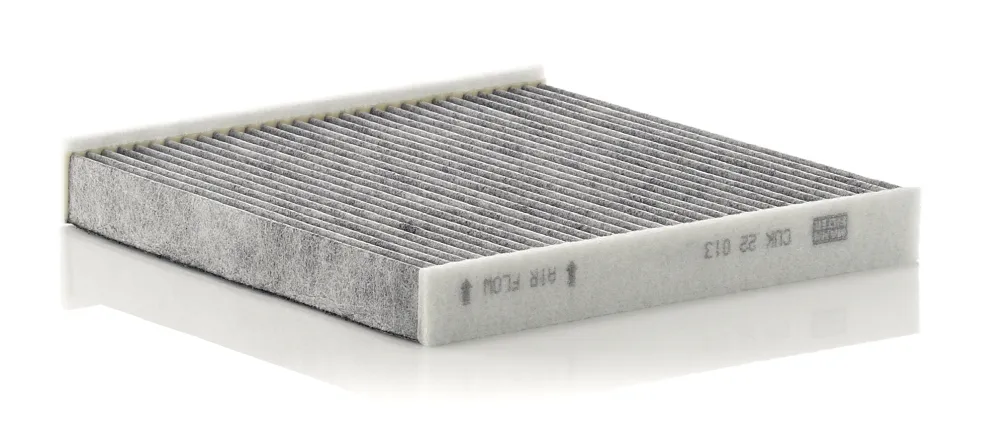 MANN-FILTER CUK 22 013 - Filtro, Aria abitacolo ATP Autoricambi Compra Adesso
