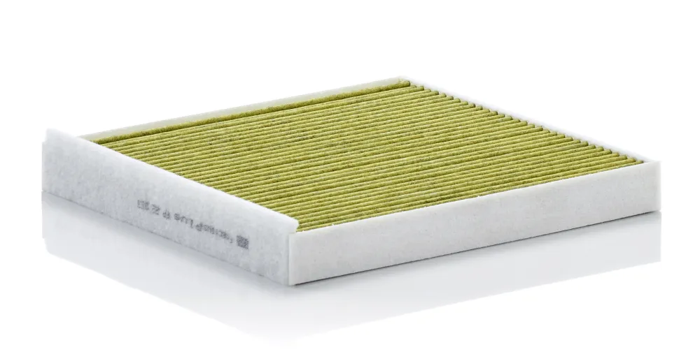MANN-FILTER FP 22 013 - Filtro, Aria abitacolo ATP Autoricambi Compra Oggi Stesso