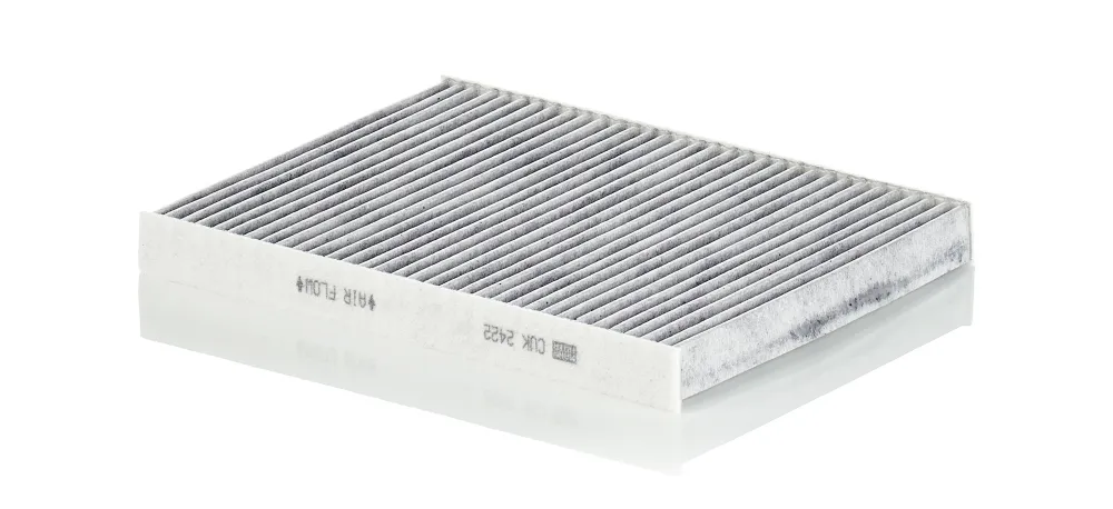 MANN-FILTER CUK 2422 - Filtro, Aria abitacolo ATP Autoricambi Offerta Del Giorno