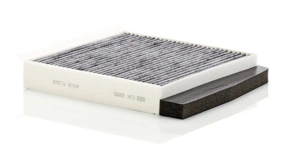 Compra Oggi Stesso MANN-FILTER CUK 2855 - Filtro, Aria abitacolo ATP Autoricambi
