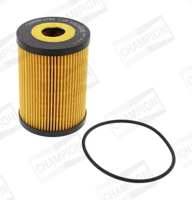 Compra Oggi Stesso CHAMPION COF100569E - Filtro olio ATP Autoricambi