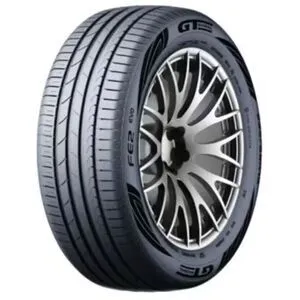 Acquista Ora GT-Radial FE2 EVO 205/55 R16 91W