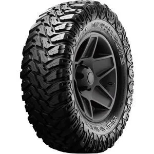 Professionale Cooper Evolution MTT 255/70 R16 108/104Q tooltip show mouseleave->tooltip hide">6PR, tooltip show mouseleave->tooltip hide">OWL, tooltip show mouseleave->tooltip hide">M+S, tooltip show mouseleave->tooltip hide">POR