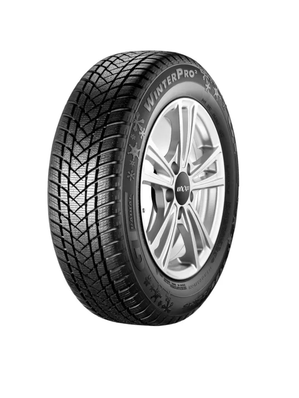 GT Radial WinterPro2 205/55 R17 95H XL gomme invernali Scelto Dai Clienti
