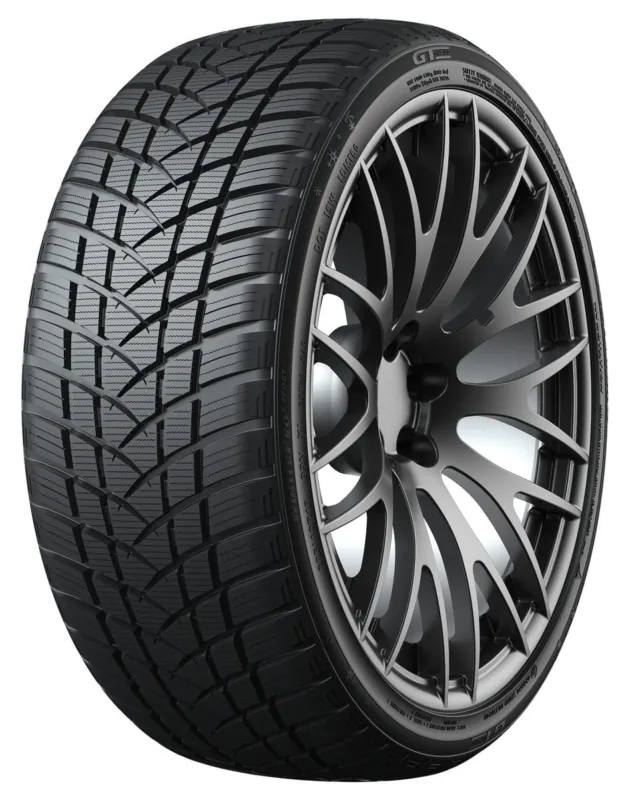 GT Radial WINTERPRO2 SPORT (EVO) XL M+S 3PMSF TL 205/40 R17 84V XL gomme invernali Promozione