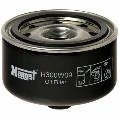 Super Prezzo HENGST FILTER H300W09 Filtro Olio