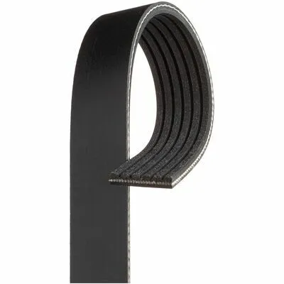 GATES Micro-V® 6PK2448 Cinghia Poly-V Promozione Esclusiva