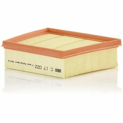 Bestseller MANN-FILTER C 17 022 Filtro Aria