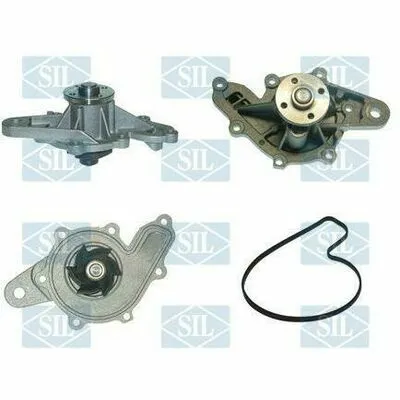 SALERI SIL PA1129 Pompa Dell’Acqua, Raffreddamento Motore Occasione