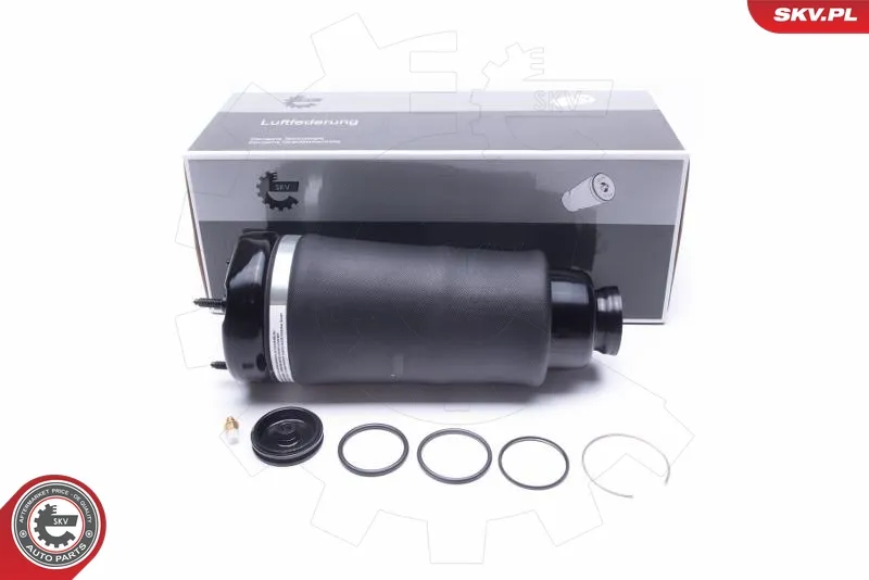 Super Prezzo ESEN SKV 58SKV066 - Gamba elastica con ammortiz. pneumatico ATP Autoricambi