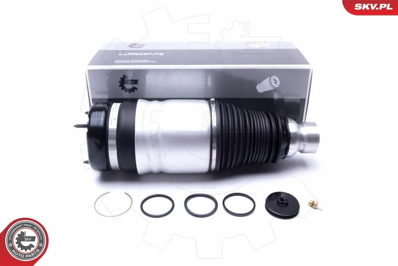 ESEN SKV 58SKV060 - Gamba elastica con ammortiz. pneumatico ATP Autoricambi Di Tendenza