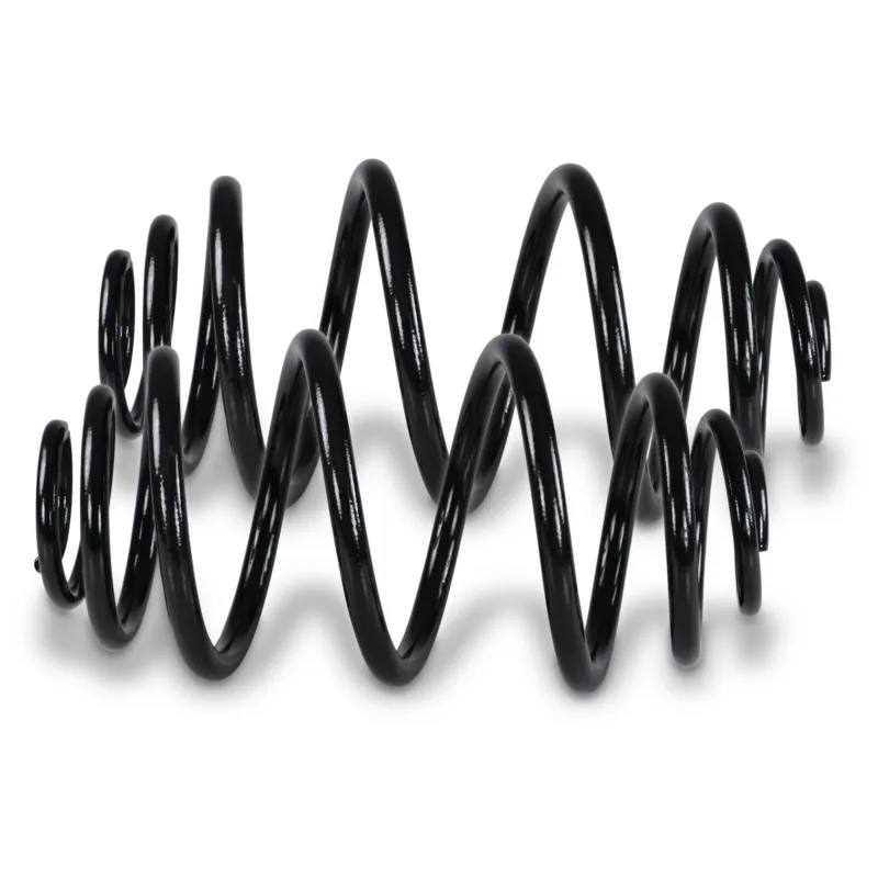 BESTPRICE 40669300 - 2x Fahrwerksfeder ATP Autoricambi Offerta Del Giorno