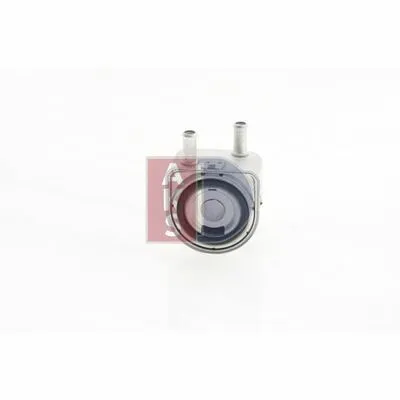 AKS DASIS 166002N Radiatore Olio, Olio Motore Miglior Prezzo