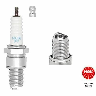 Compra Adesso NGK 4922 Candela Accensione
