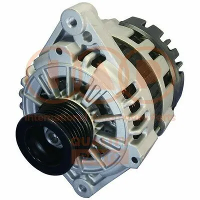 IAP QUALITY PARTS 802-20050 Alternatore Pagamento Sicuro