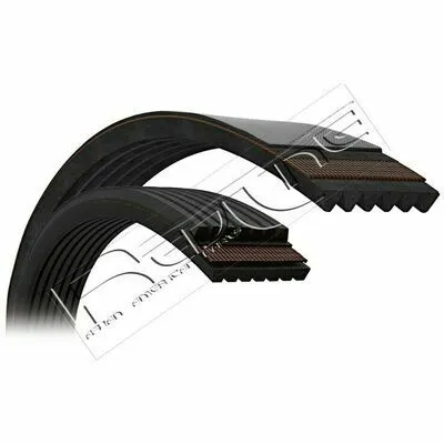 RED-LINE 994PK895 Cinghia Poly-V Professionale
