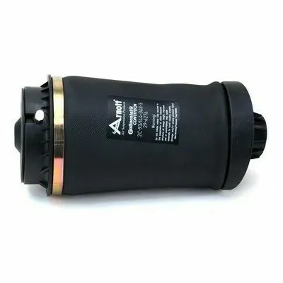 ARNOTT A-2597 Gamba Elastica con Ammortiz. Pneumatico Ultimissimo Modello