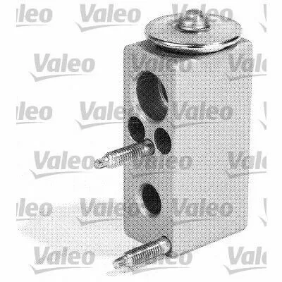 VALEO 509511 Valvola ad Espansione, Climatizzatore Promozione