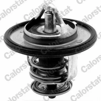 CALORSTAT TH6587.87J Termostato, Refrigerante Scelto Dai Clienti