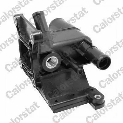 A Buon Prezzo CALORSTAT WF0186 Termostato, Refrigerante