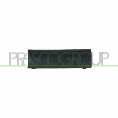 Scelto Dai Clienti PRASCO BM0141245 Ribalta, Gancio Traino