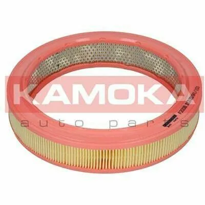 Offerta KAMOKA F200301 Filtro Aria