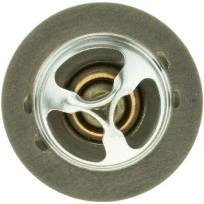 Promozione Esclusiva MOTORAD 646-82K Termostato, Refrigerante