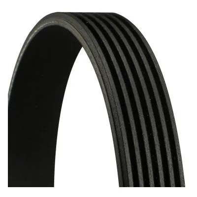 CONTITECH 6PK778 ELAST Cinghia Poly-V Non Perdere